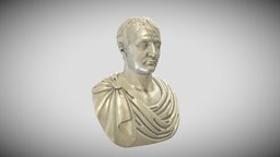 Napoleon Bust