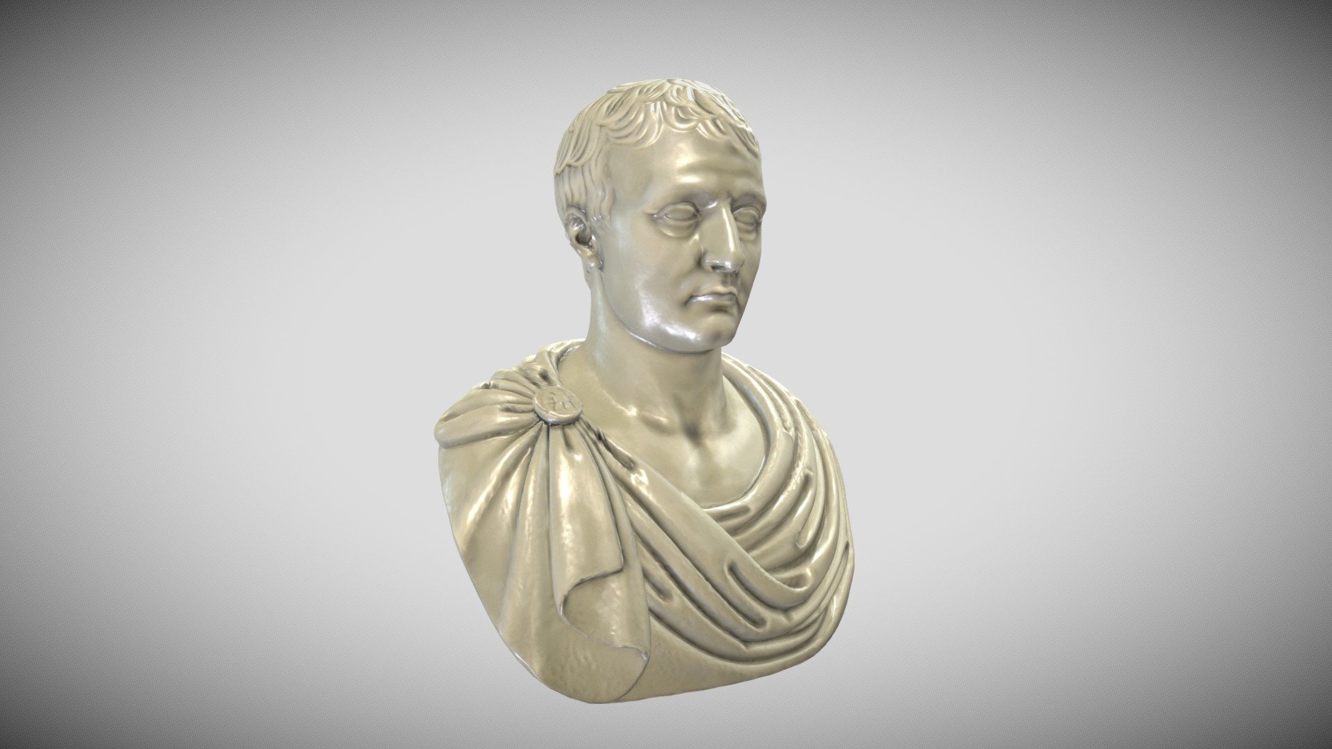 Napoleon Bust 3d model