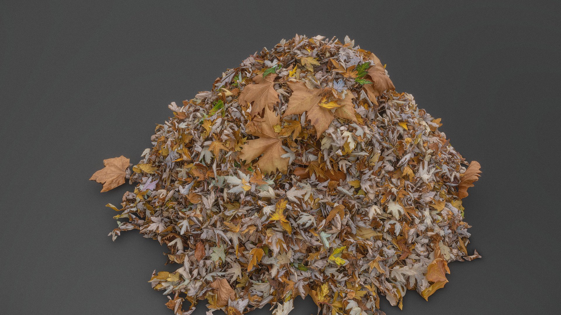 Pile of pointy leaves 3d model