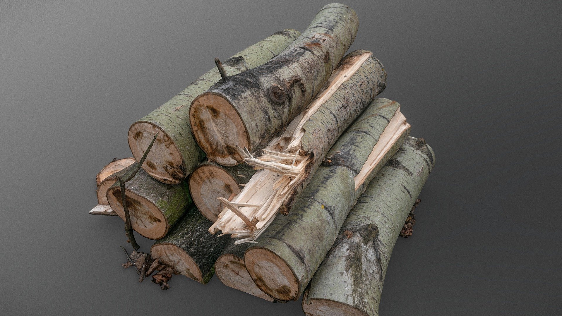 Cut ashree logs stack 3d model