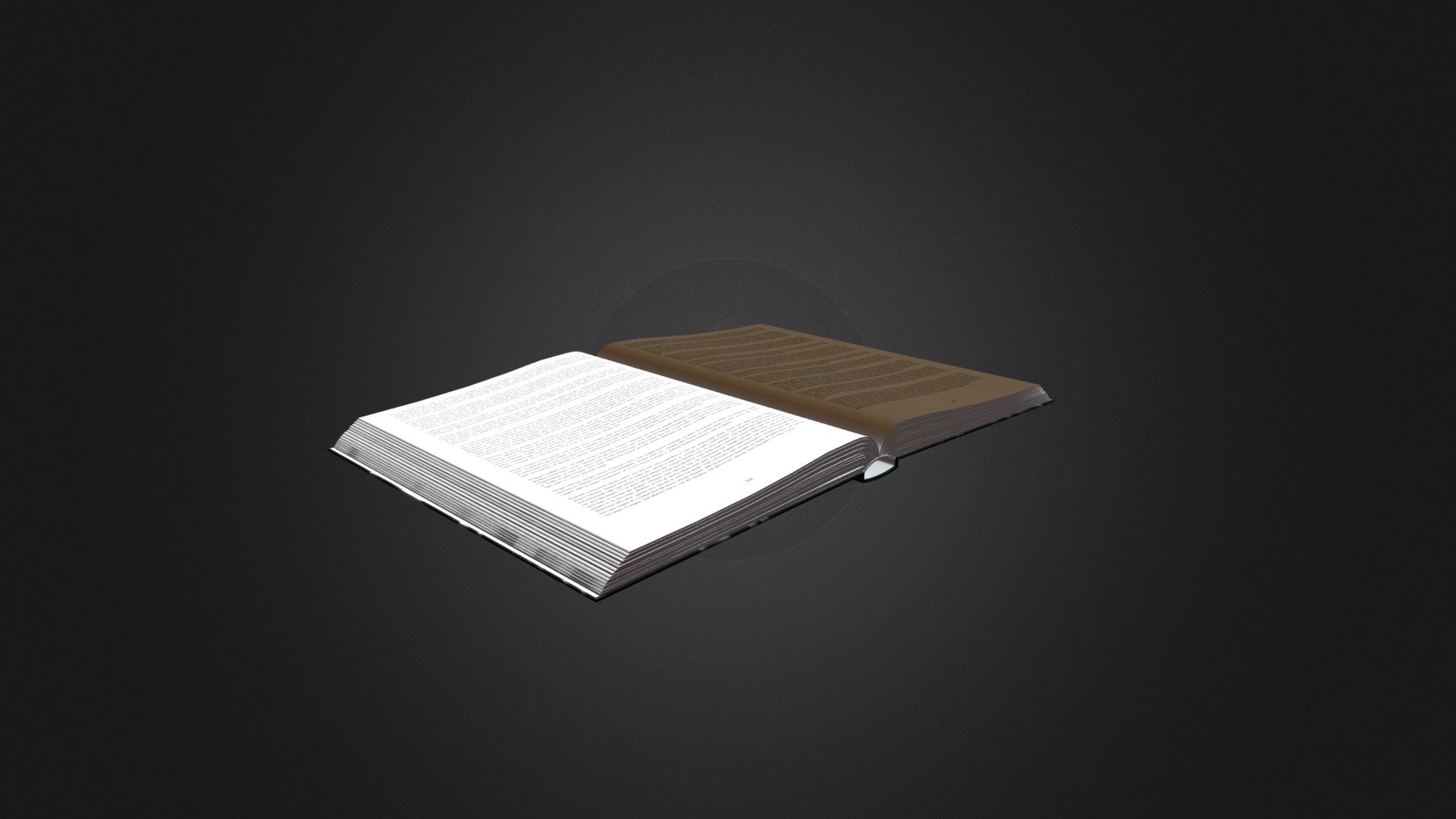 Open Book 3d model