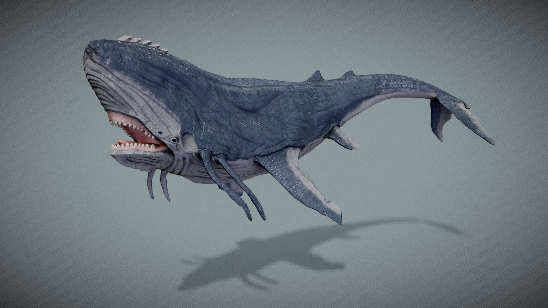 The Whale 3d model