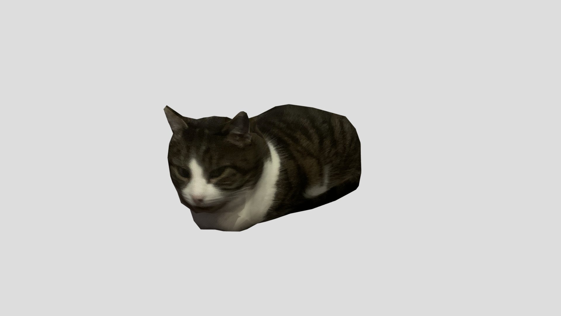 felix loaf 3d model