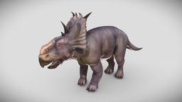 Pachyrhinosaurus