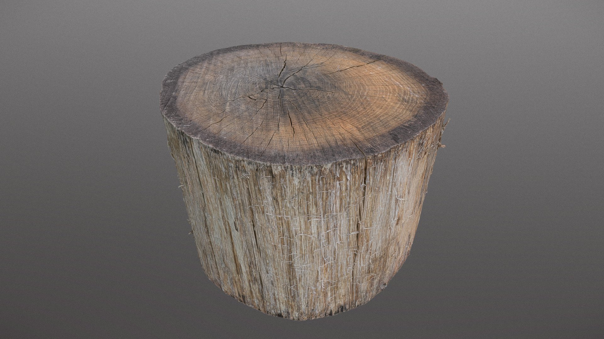 Old spruce log 3d model