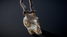 roe deer skull