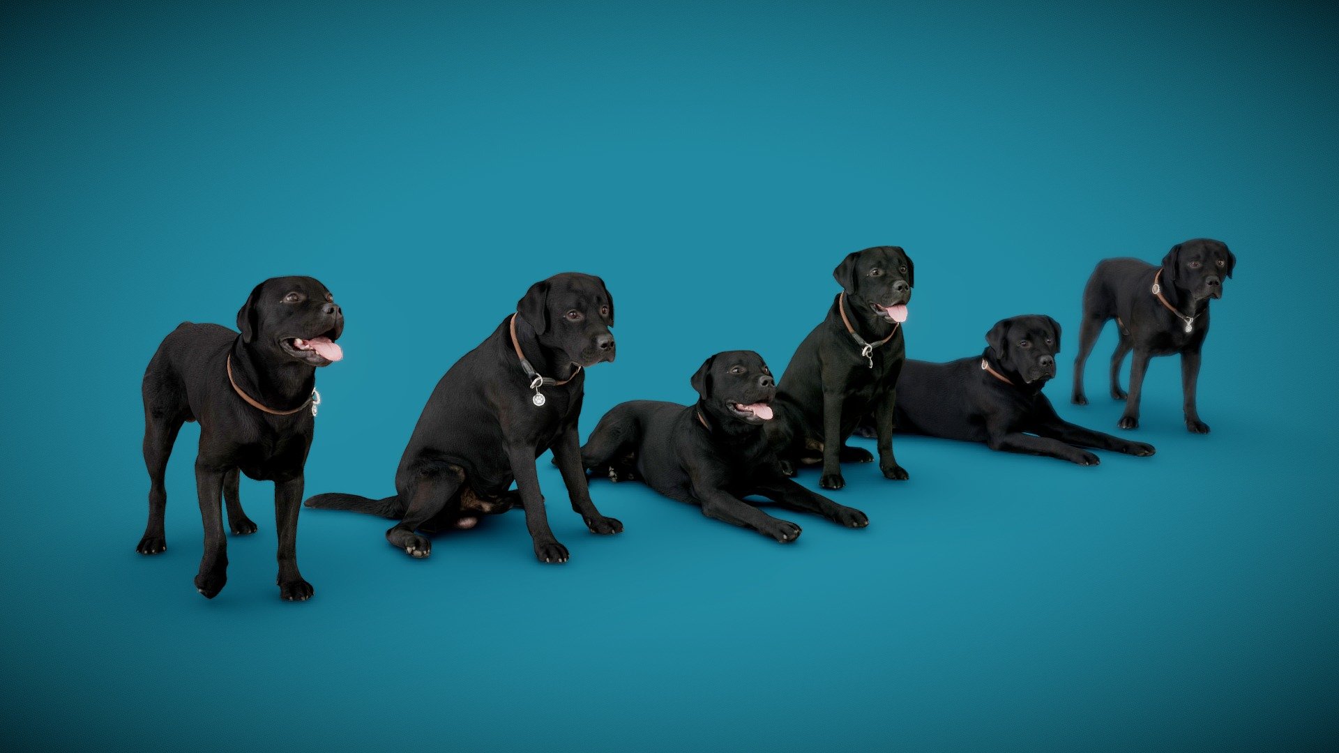 DOGs Six Pack A 3d model