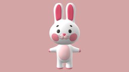 Bunny Character