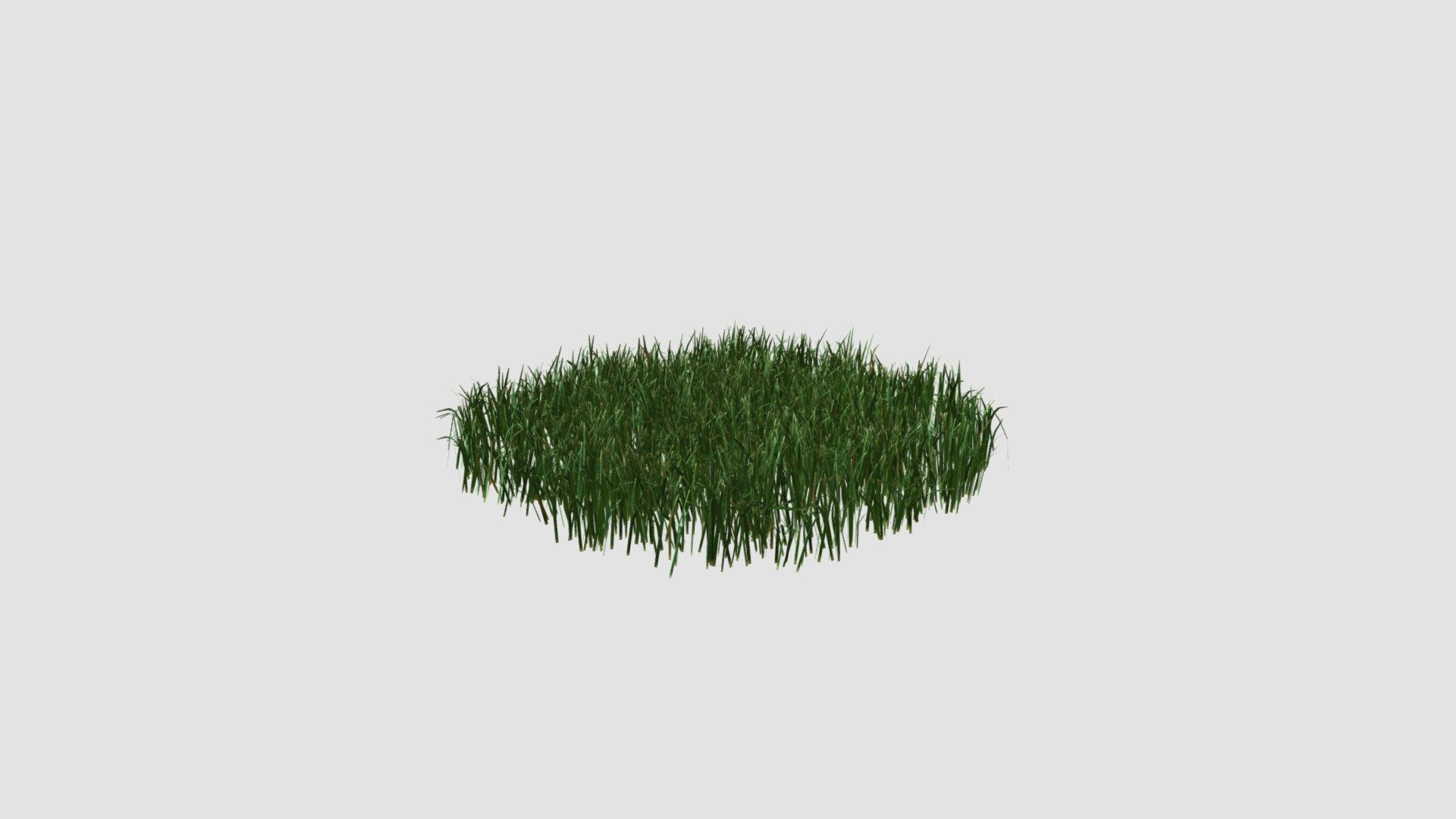 simple grass large 3d model