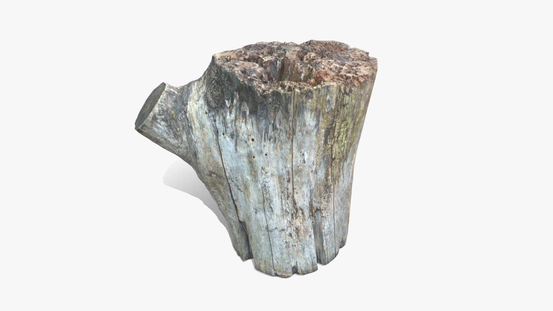 Log Round with Branch 3d model