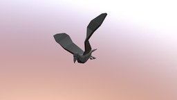 Low poly Crow- Fly cycle