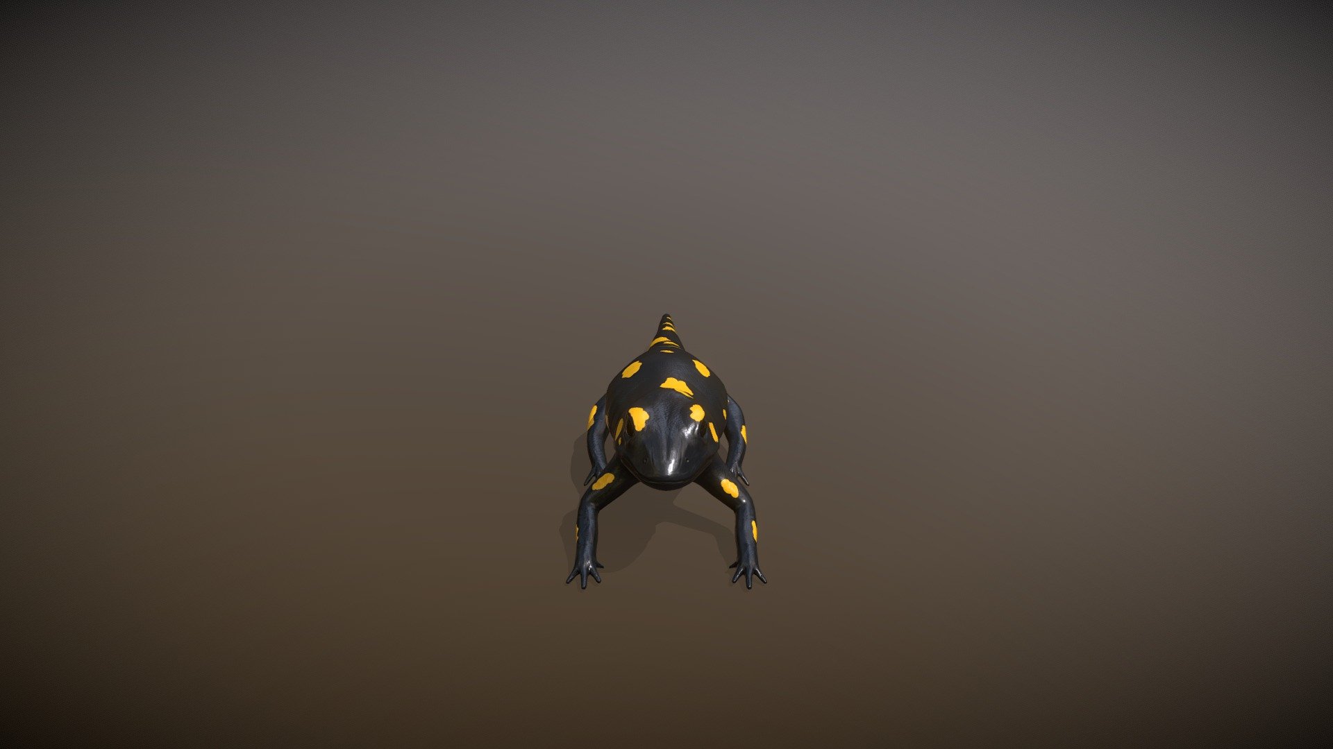 Salamandra 3d model