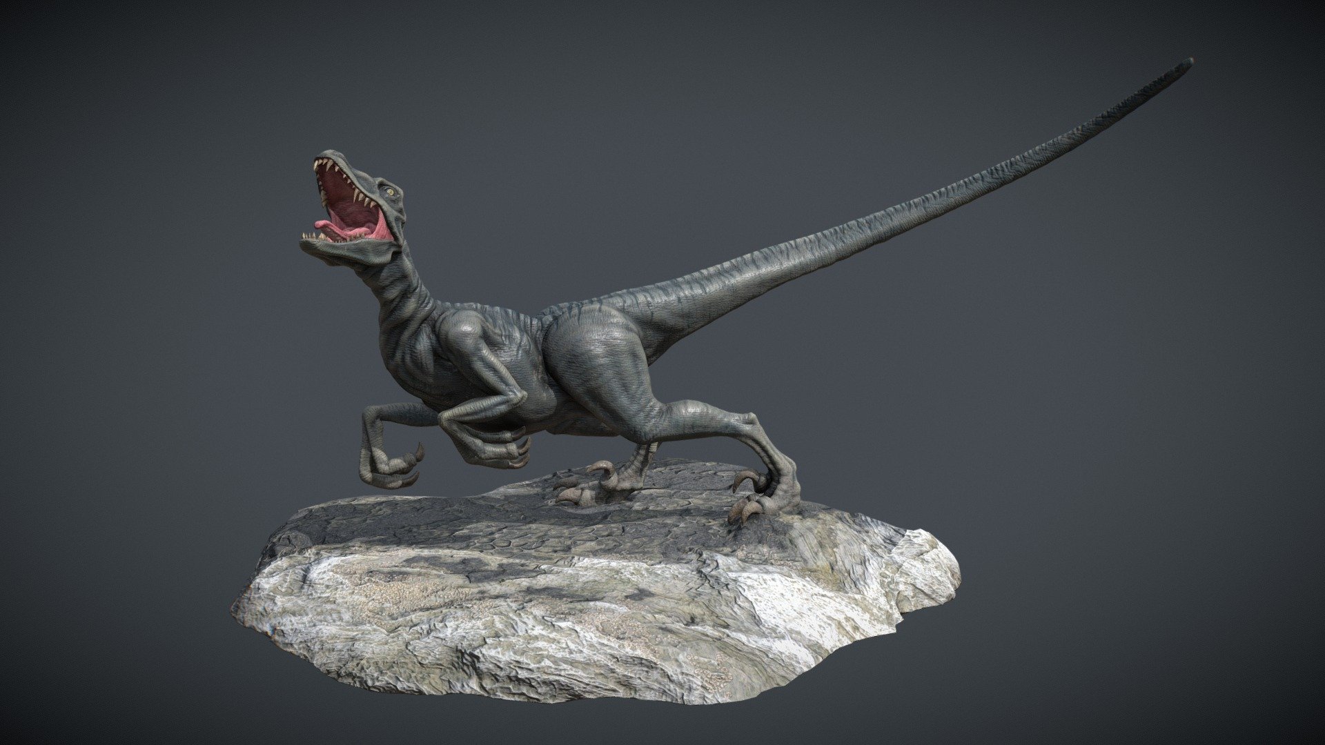 Velociraptor 3d model