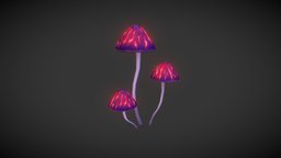 Magic Mushroom