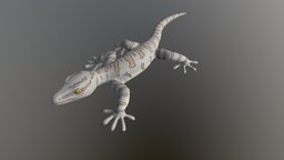 3D Gecko