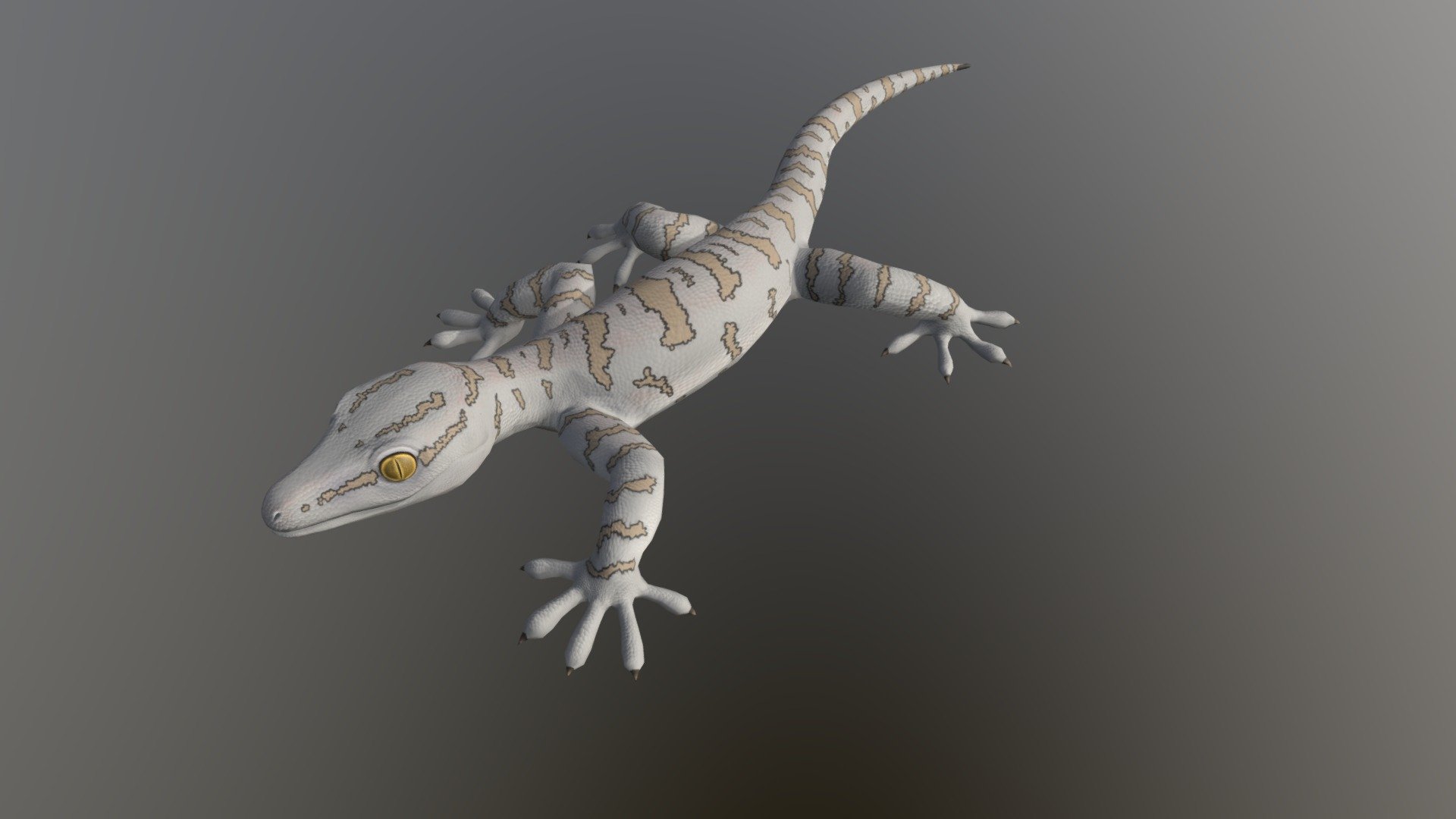 3D Gecko 3d model