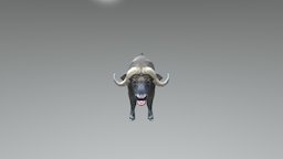 Buffalo High Poly