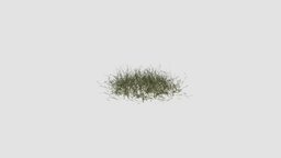 simple grass