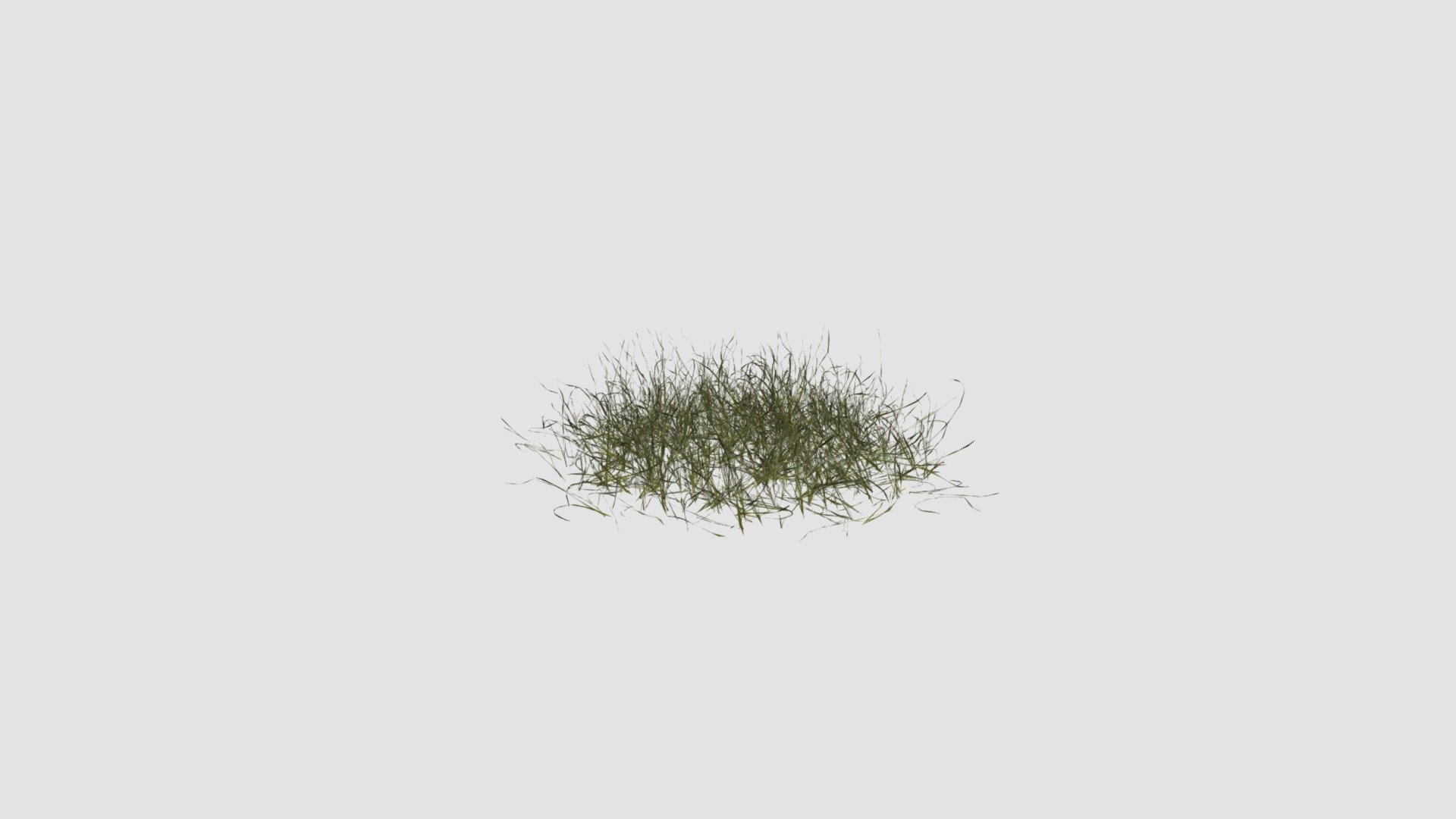 simple grass 3d model