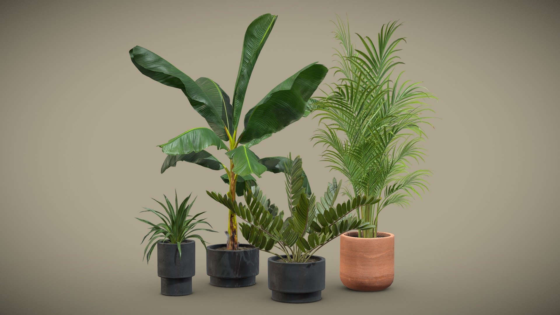 Indoor Plants Pack 43 3d model