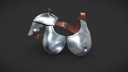 Metal Breasts And Shoulder Guard Bra Armour Top