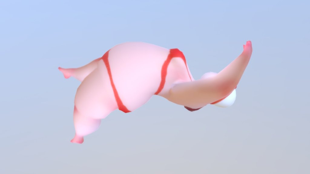 Salsa Swims | Back Stroke 3d model