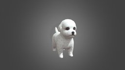 White Puppy Animation