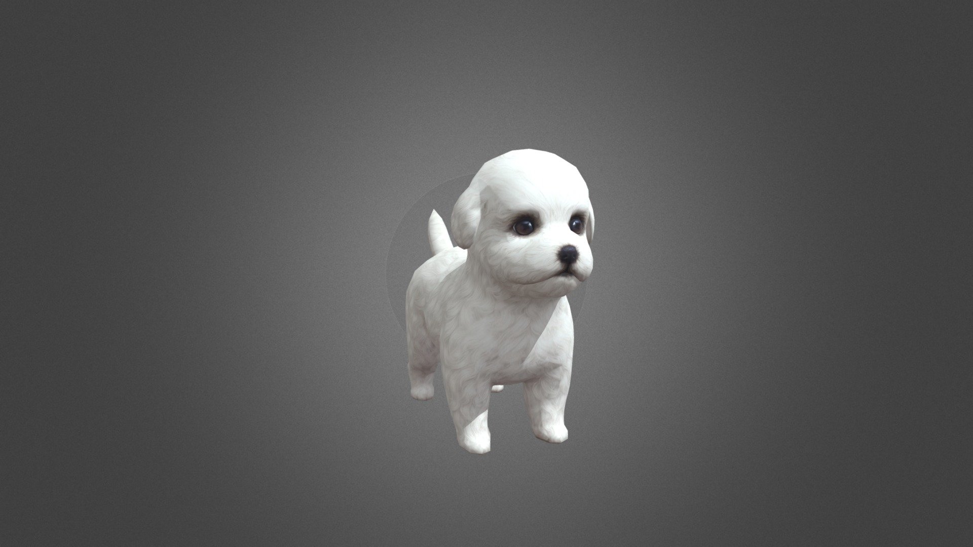 White Puppy Animation 3d model