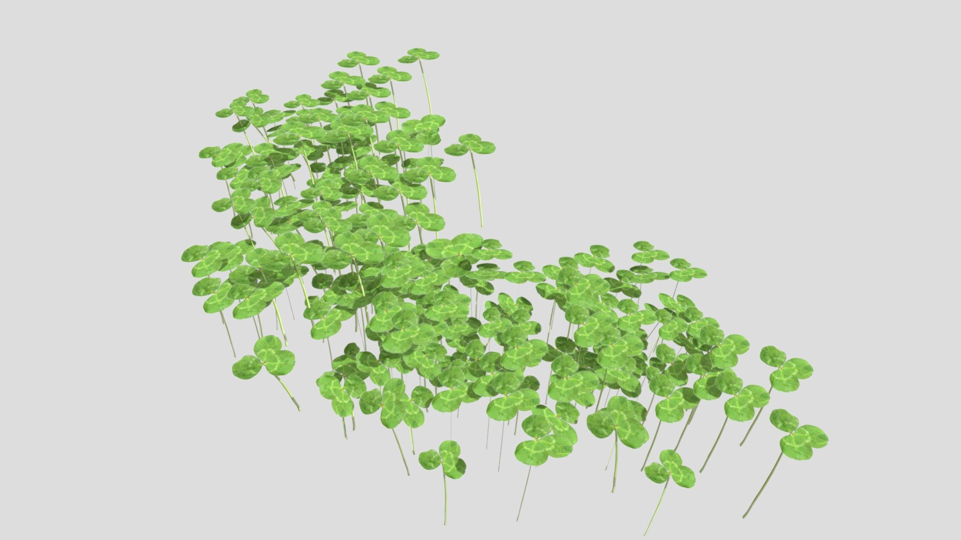 Clover Variation 1 3d model