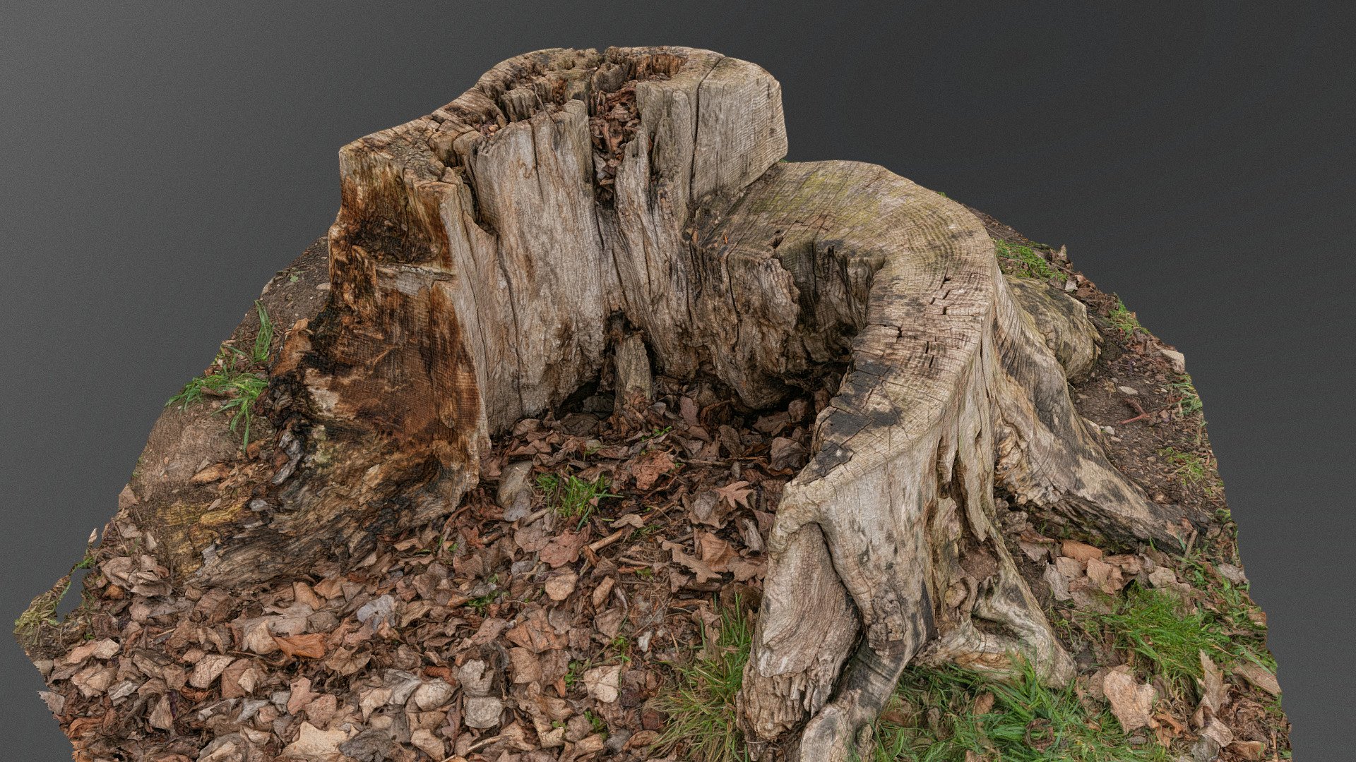 Old green stump 3d model