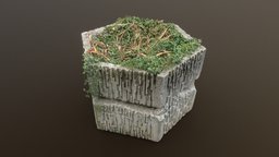 Dual Brutal outdoor concrete hexagon flower pot