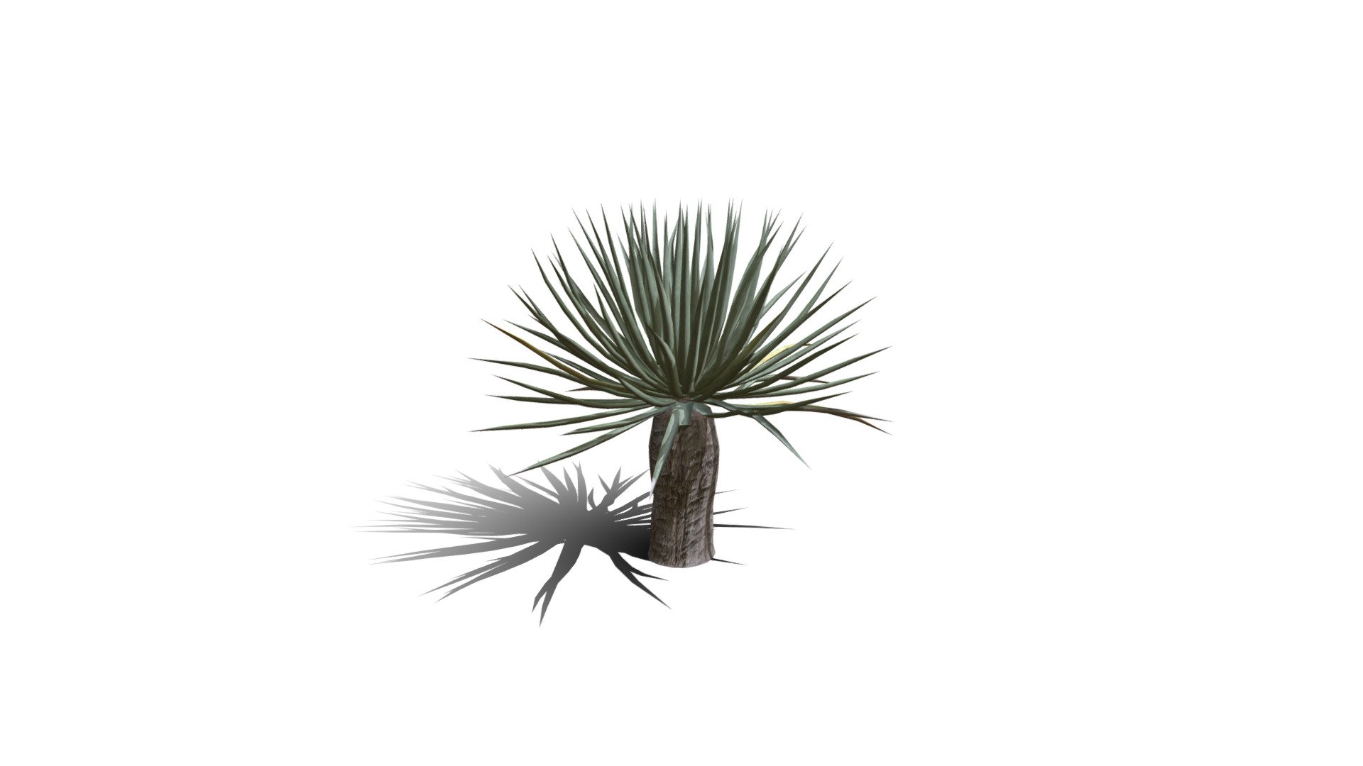 Realistic HD Dragon tree (31/50) 3d model