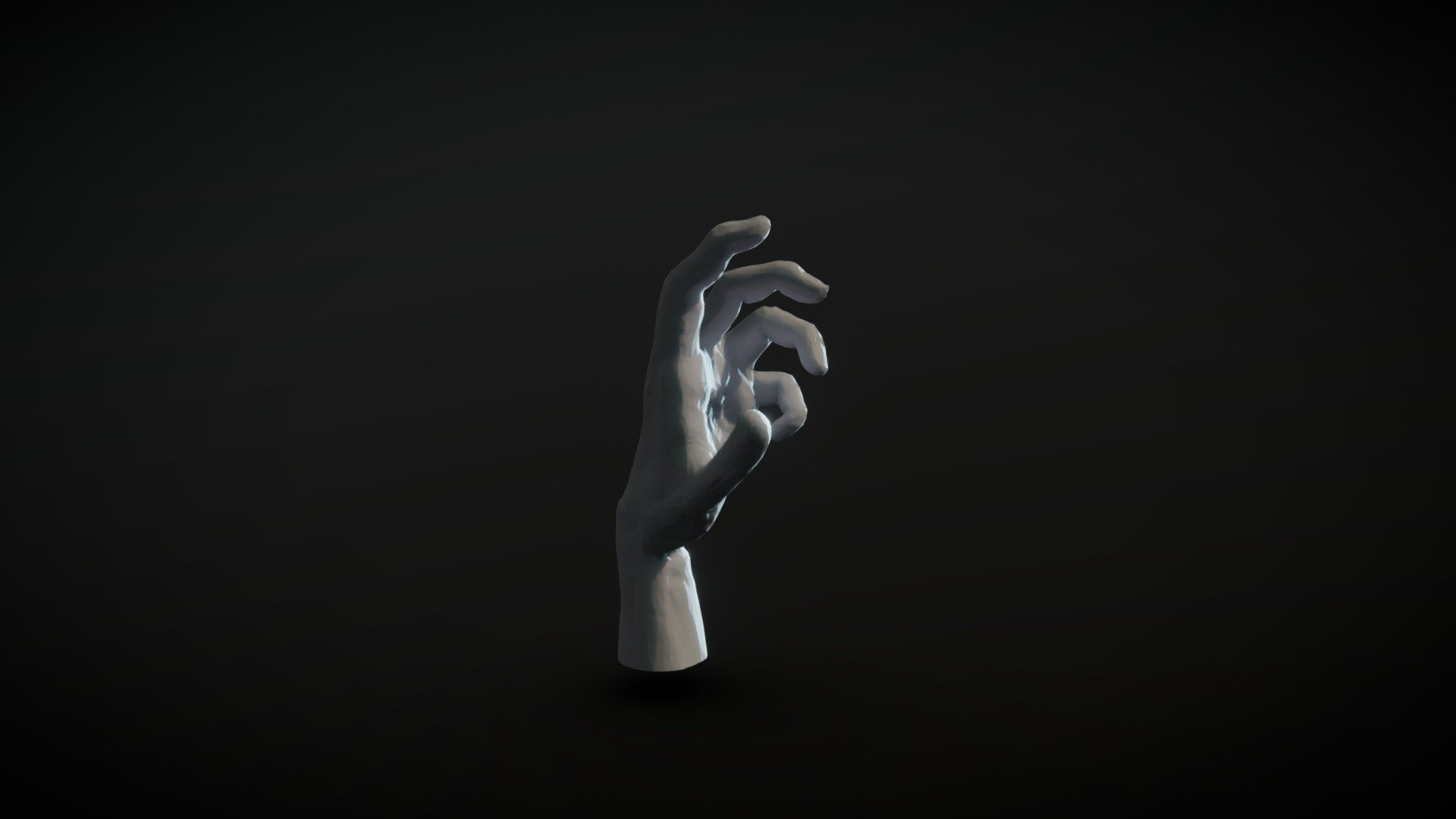 Hand Pose 3d model