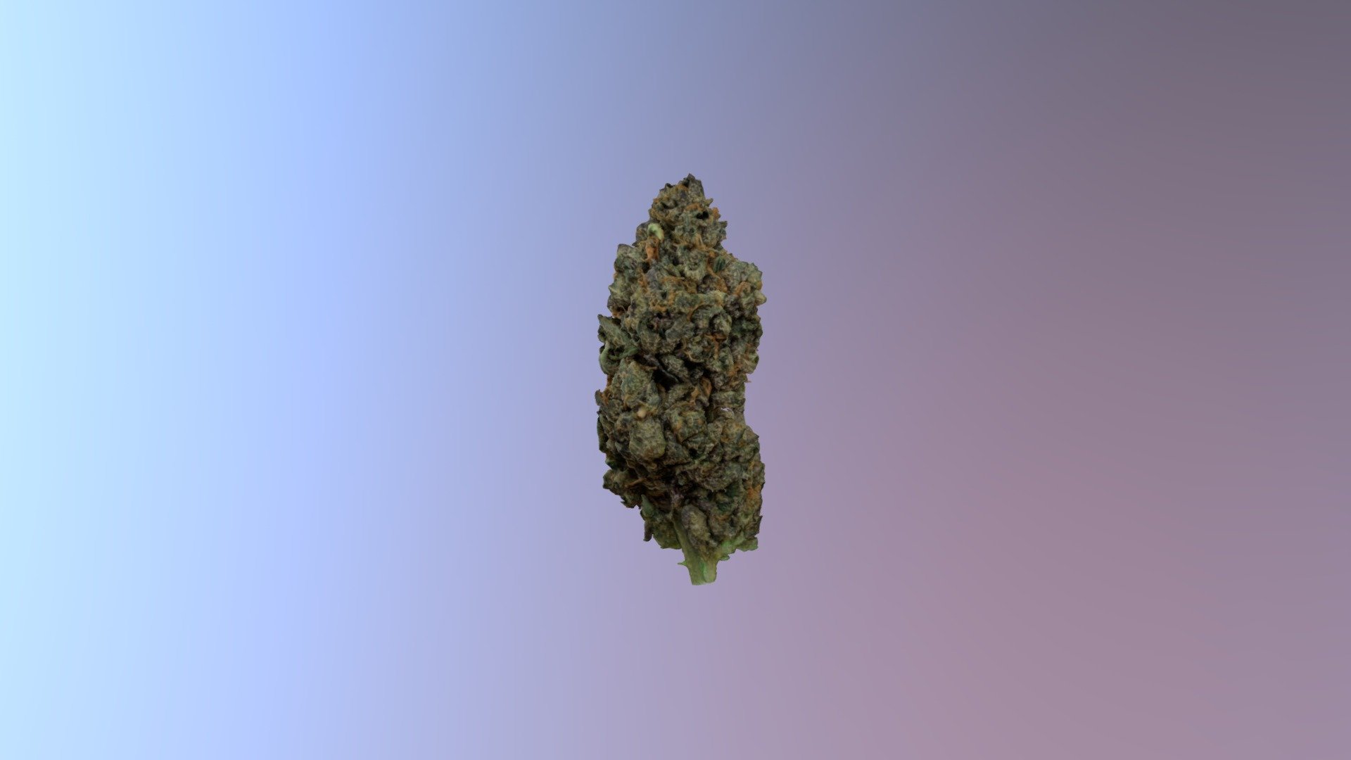 Weed 3d model