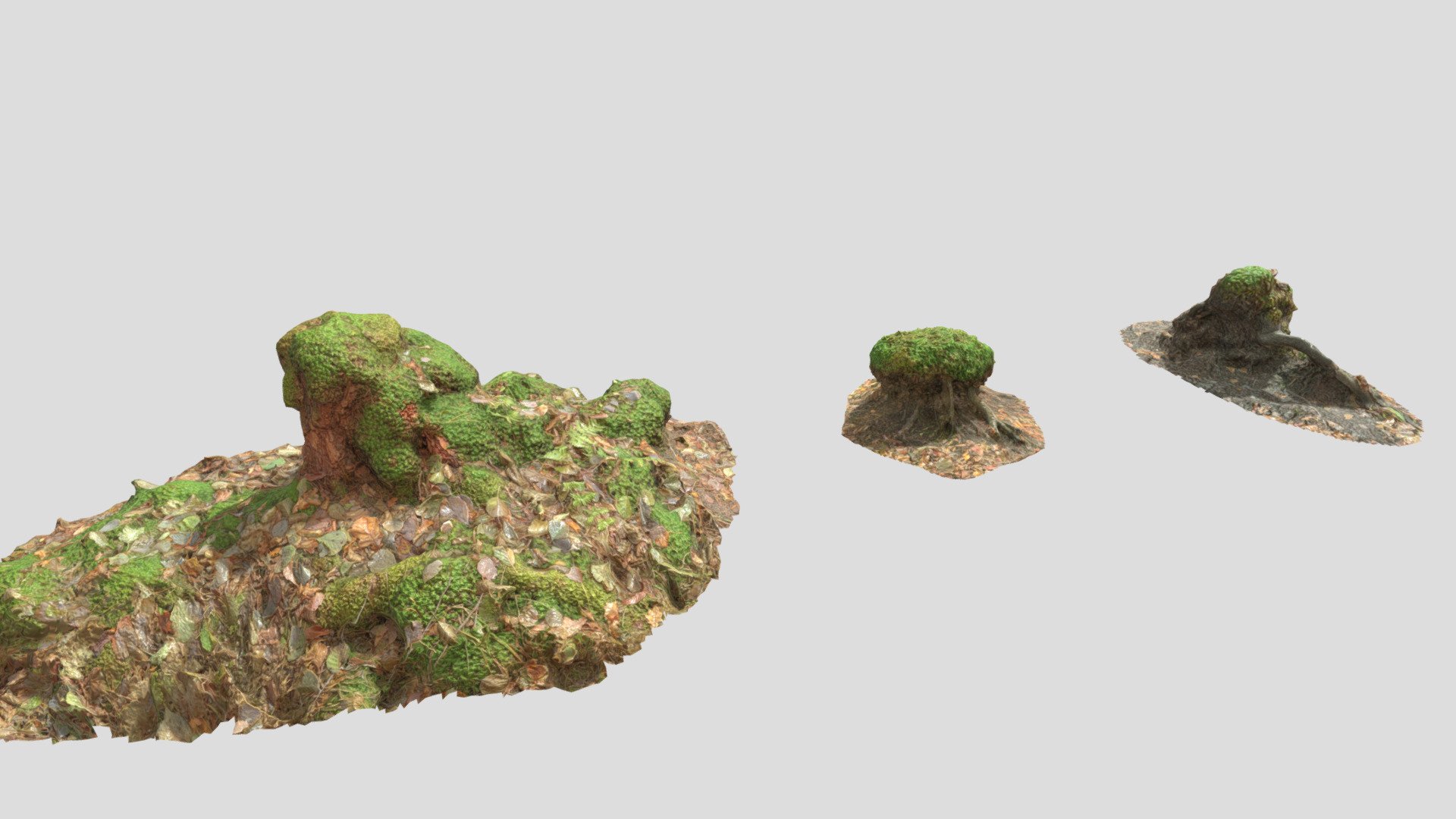 Swamp Tree Moss Stumps Scan 3d model