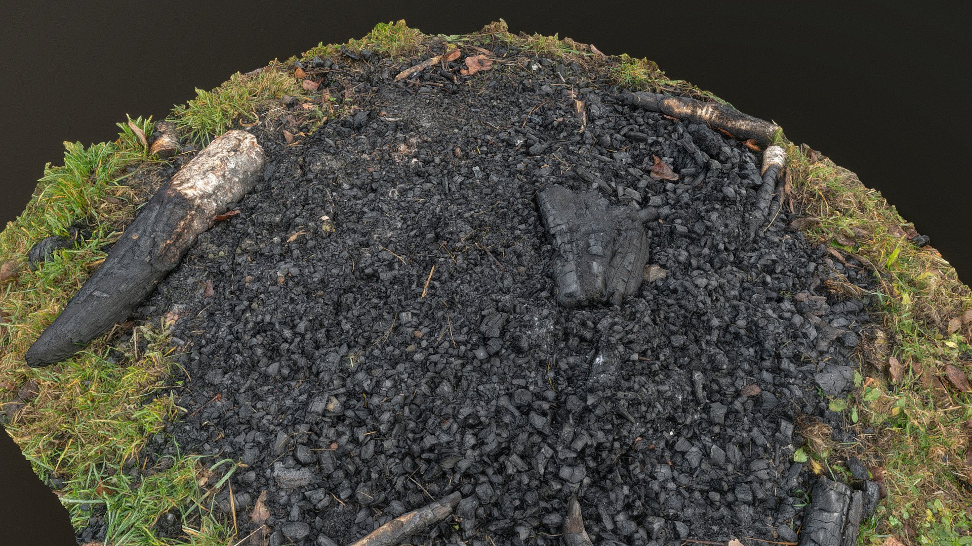 Natural campfire in grass 3d model