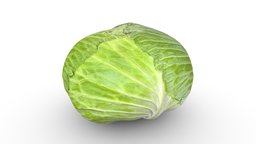 Cabbage