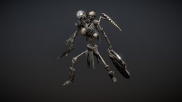 Skeleton Warrior