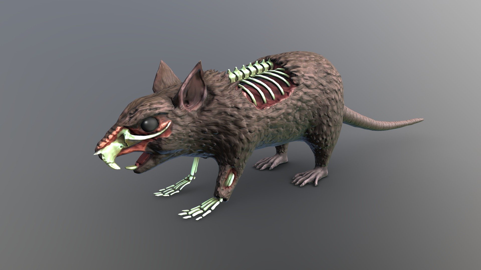 Undead Rat 3d model