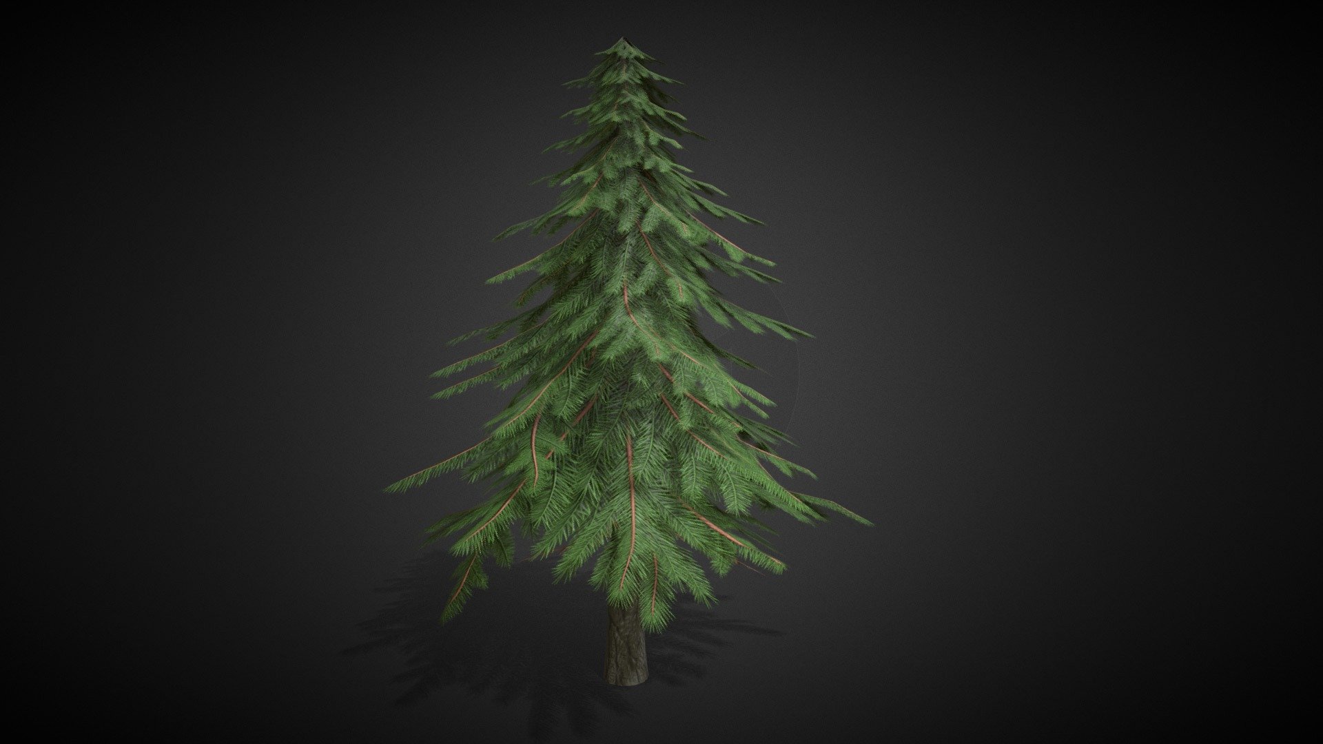 Pine Tree [Game-ready] 3d model