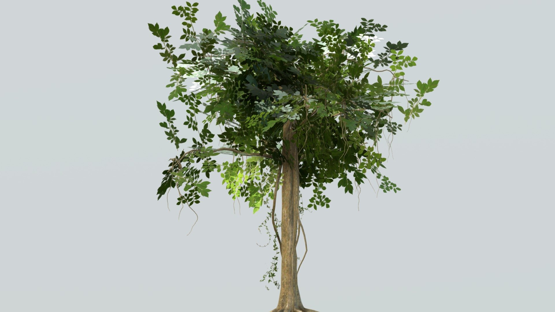 jungle tree 3d model