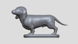 Dachshund