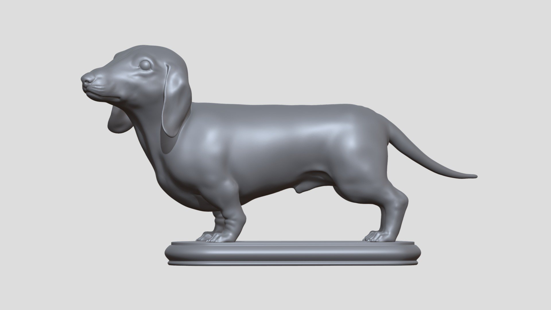 Dachshund 3d model