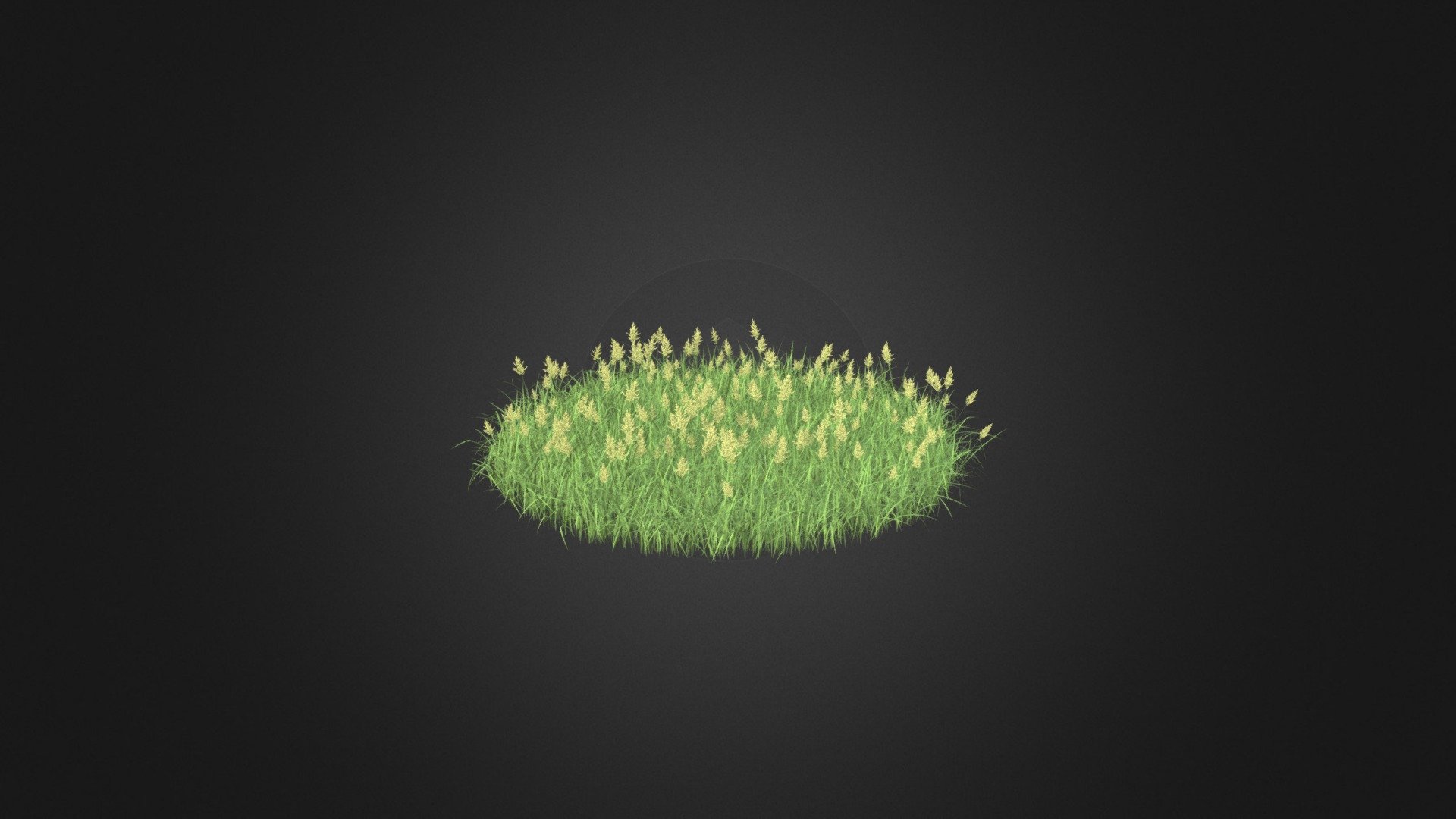 Flowering Grass 3D Model 3d model