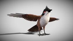 Bird bird sparrows binding model 3D model