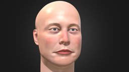 Elon Musk 3D portrait