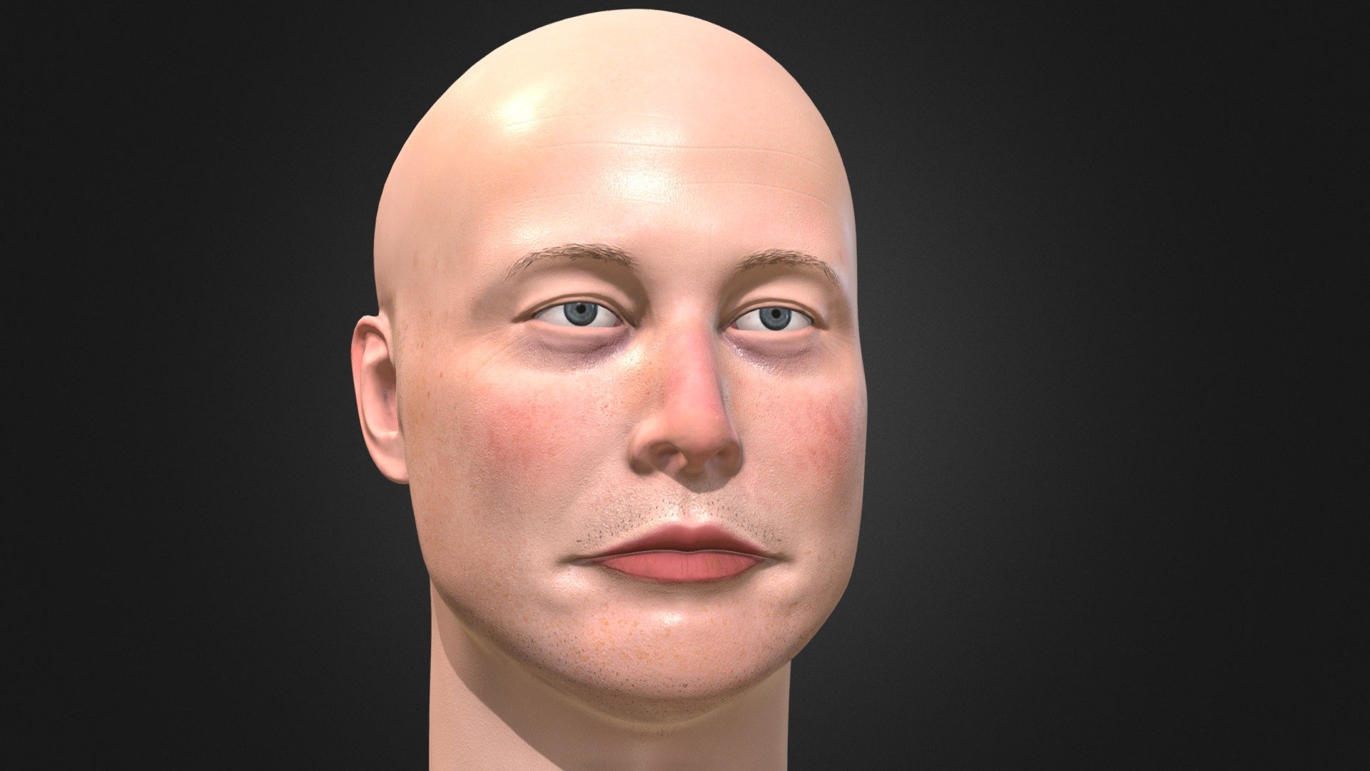 Elon Musk 3D portrait 3d model