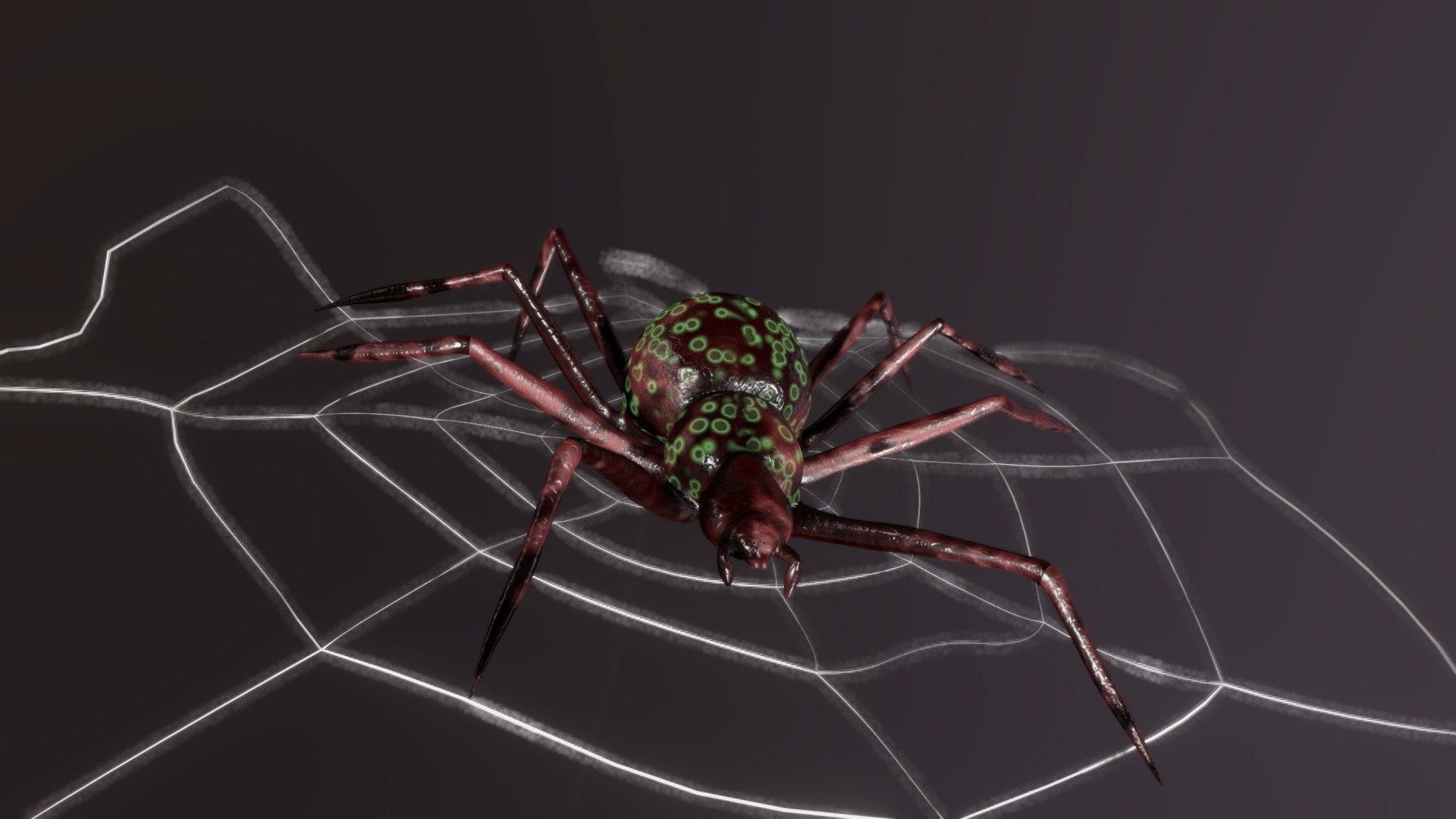 Spider 3d model