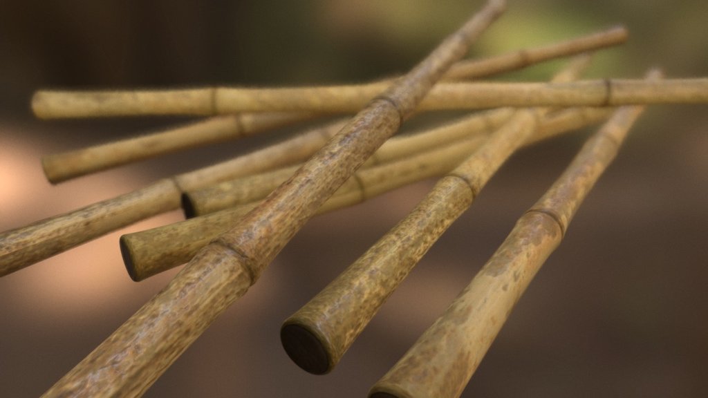 Bamboo 3d model