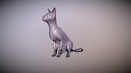 sphynx cat